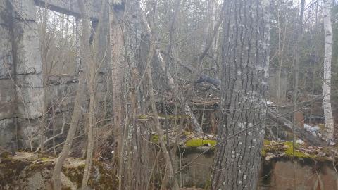 Marlbank Ghost Town 2022 - 20220326_153025_HDR.jpg