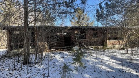 Graffiti galore - 34DF7509-4970-42BD-8BB6-BE5670273C5B.jpeg