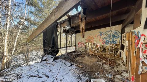 Graffiti galore - 1AE4EED2-A7F8-4FBB-8109-27D284D8B994.jpeg