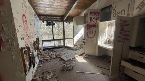 Graffiti galore - CF4231B4-3442-4201-9944-796F822BC0B1.jpeg