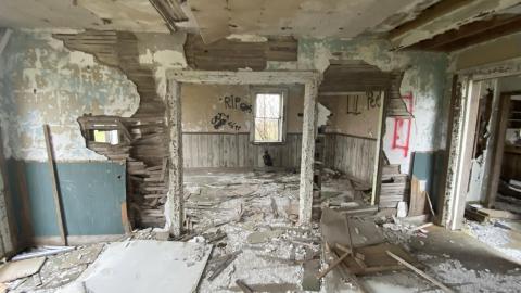 The greenhouse - 32995D53-DDC1-4CF6-A76F-4FF5AAA005EF.jpeg