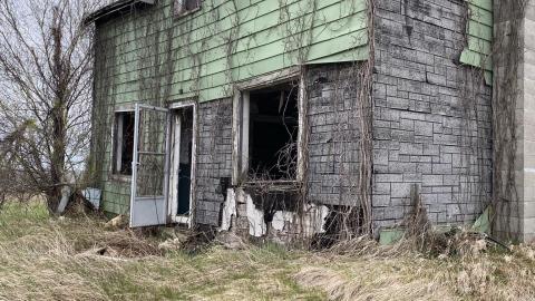 The greenhouse - 50A79554-05BA-4C93-88F2-E5CDB4559417.jpeg