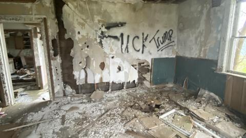 Photo from The greenhouse