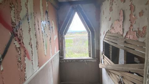 The greenhouse - 289B6104-427E-45D6-B15D-406969D0F182.jpeg