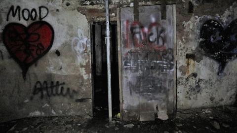 Grey day - IMG_1194.JPG