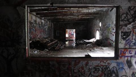 Grey day - IMG_1196.JPG