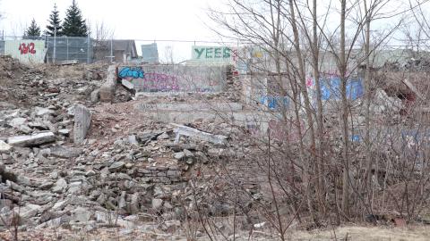 Grey day - IMG_1195.JPG