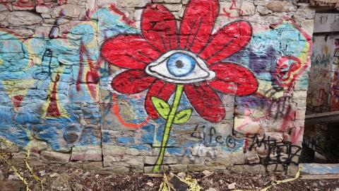 Grey day - IMG_1198.JPG