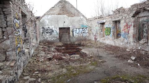 Grey day - IMG_1200.JPG