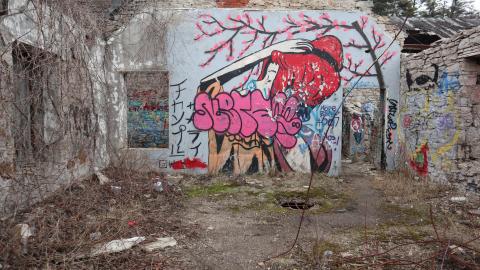 Grey day - IMG_1203.JPG