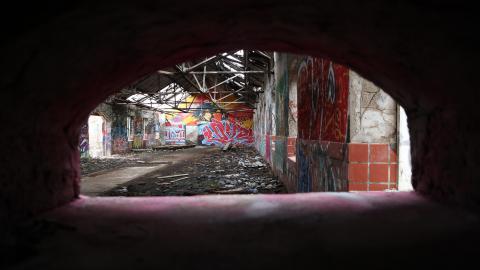 Grey day - IMG_1206.JPG