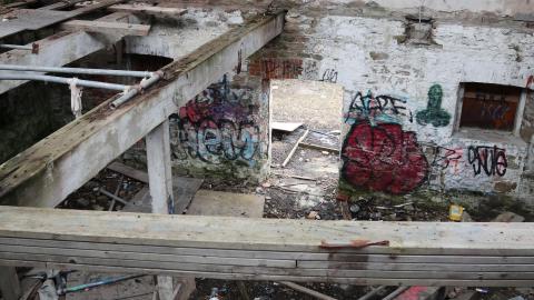 Grey day - IMG_1204.JPG