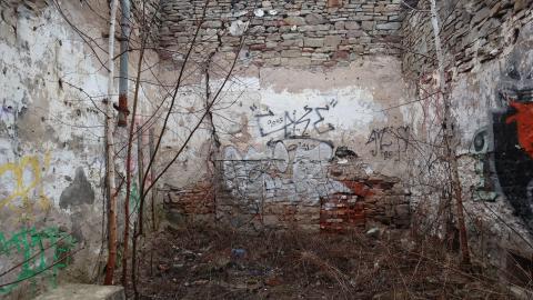 Grey day - IMG_1208.JPG