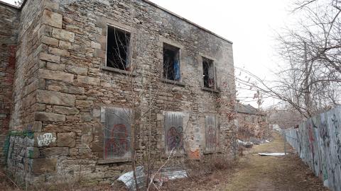 Grey day - IMG_1209.JPG