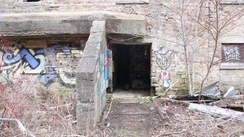 Grey day - IMG_1212.JPG