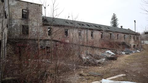 Grey day - IMG_1210.JPG