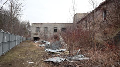 Grey day - IMG_1213.JPG