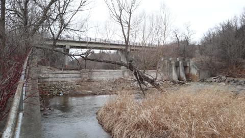 Grey day - IMG_1215.JPG