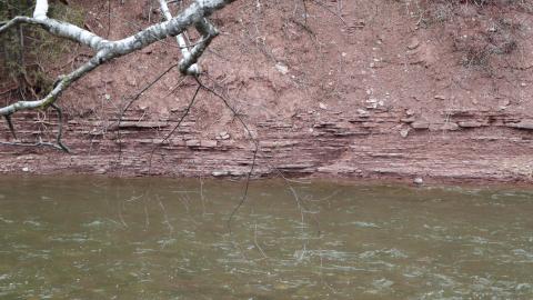 Grey day - IMG_1216.JPG