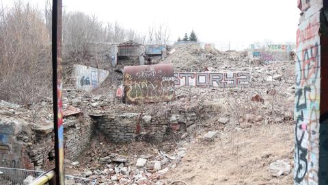 Grey day - IMG_1113.JPG