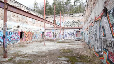 Grey day - IMG_1115.JPG