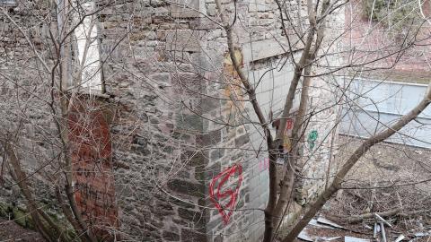 Grey day - IMG_1116.JPG