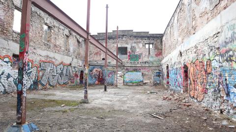 Grey day - IMG_1117.JPG