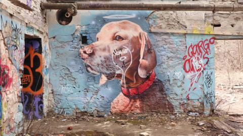 Grey day - IMG_1119.JPG