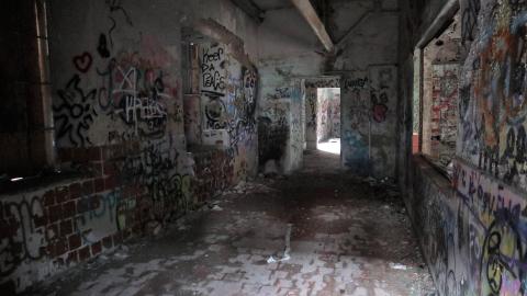 Grey day - IMG_1123.JPG