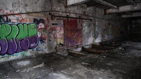 Grey day - IMG_1125.JPG