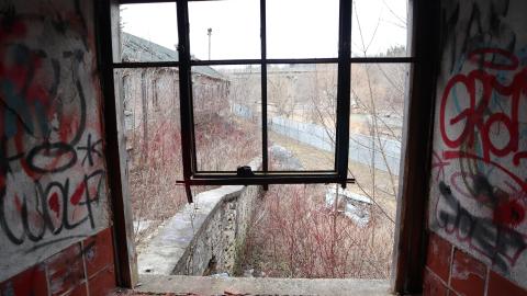 Grey day - IMG_1130.JPG