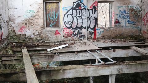 Grey day - IMG_1140.JPG