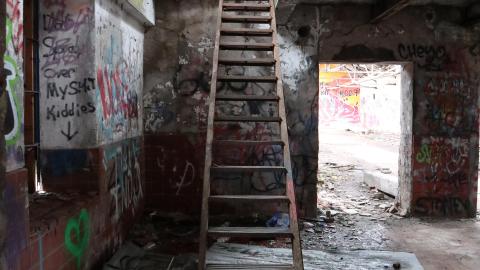 Grey day - IMG_1141.JPG