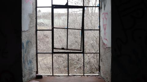 Grey day - IMG_1142.JPG