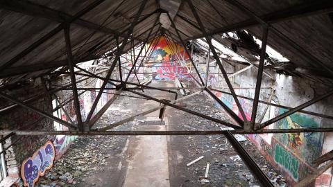 Grey day - IMG_1145.JPG