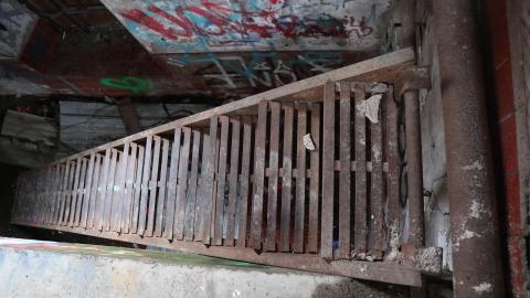 Grey day - IMG_1146.JPG