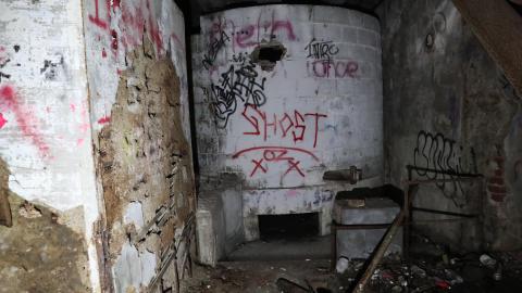 Grey day - IMG_1151.JPG