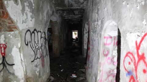 Grey day - IMG_1153.JPG