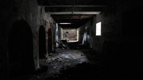 Grey day - IMG_1155.JPG