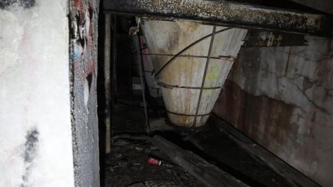 Grey day - IMG_1160.JPG