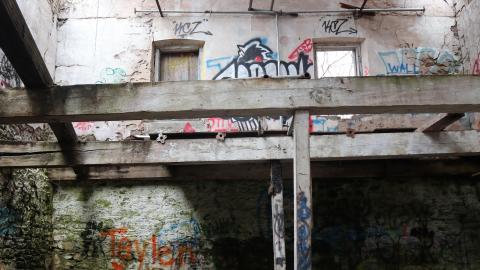 Grey day - IMG_1165.JPG