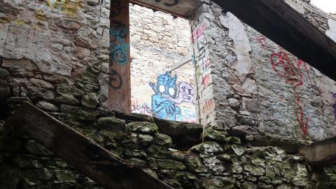 Grey day - IMG_1166.JPG