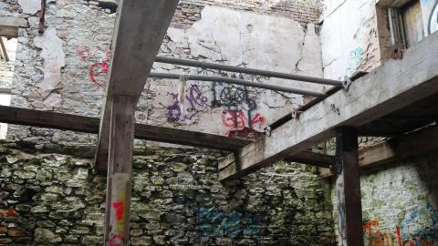 Grey day - IMG_1167.JPG