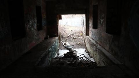 Grey day - IMG_1173.JPG