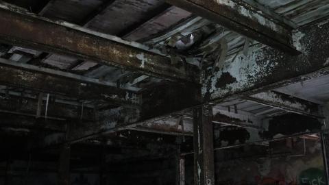 Grey day - IMG_1185.JPG