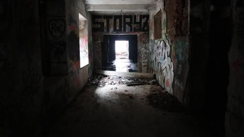 Grey day - IMG_1189.JPG