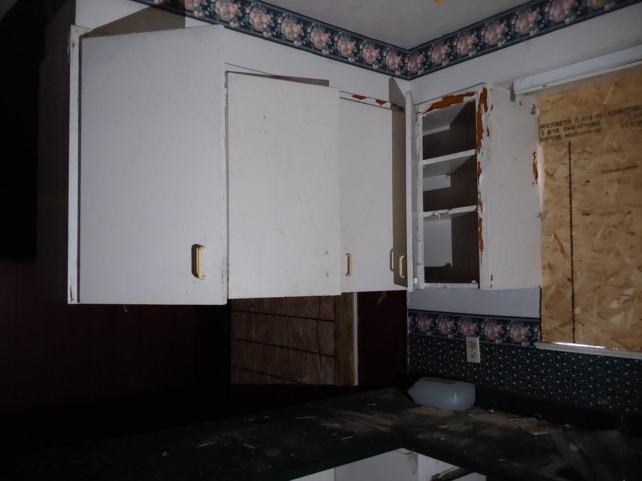 1674 Sydenham Road - 20220403_152823.jpg