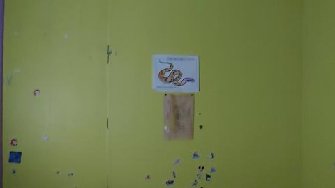 1674 Sydenham Road - 20220403_152456.jpg