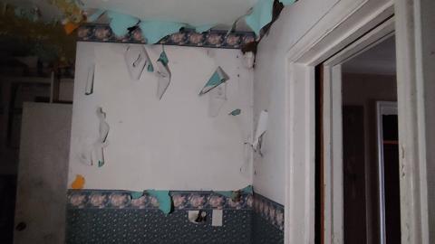 1674 Sydenham Road - 20220403_152144.jpg