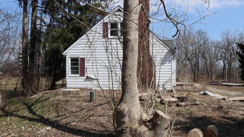 A Train 4: Urban Anal Assault - IMG_1268.JPG